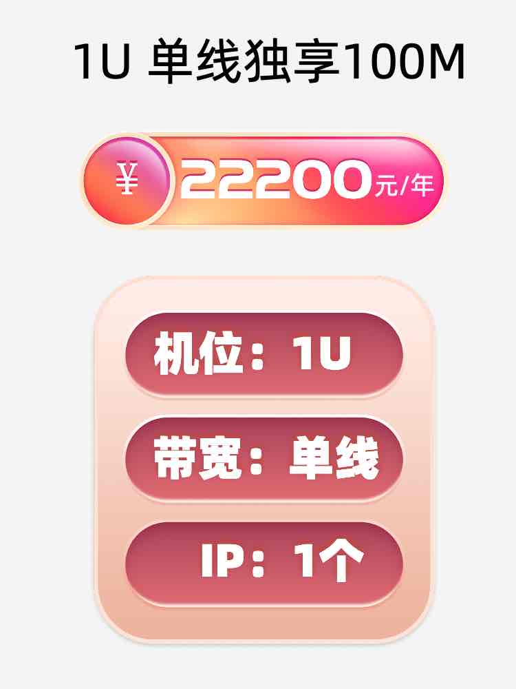 大连1U独享100M服务器托管